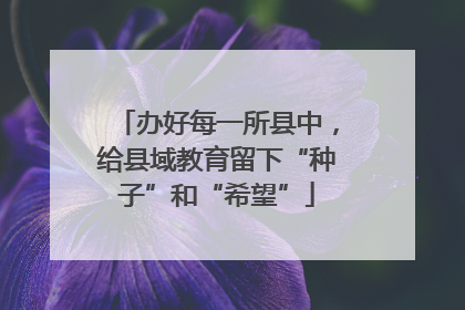 办好每一所县中，给县域教育留下“种子”和“希望”