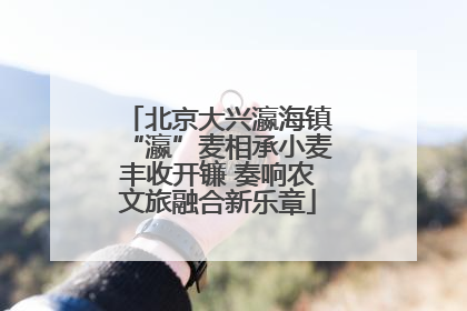 北京大兴瀛海镇“瀛”麦相承小麦丰收开镰 奏响农文旅融合新乐章