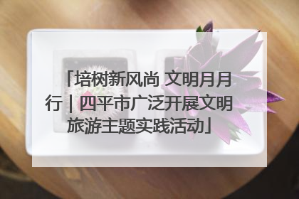 培树新风尚 文明月月行｜四平市广泛开展文明旅游主题实践活动