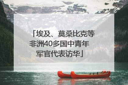 埃及、莫桑比克等非洲40多国中青年军官代表访华