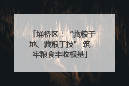埇桥区：“藏粮于地、藏粮于技” 筑牢粮食丰收根基