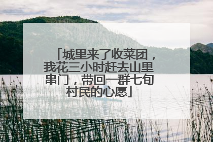 城里来了收菜团，我花三小时赶去山里串门，带回一群七旬村民的心愿