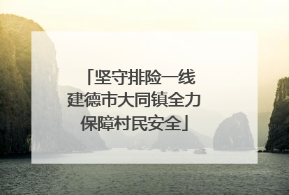 坚守排险一线 建德市大同镇全力保障村民安全
