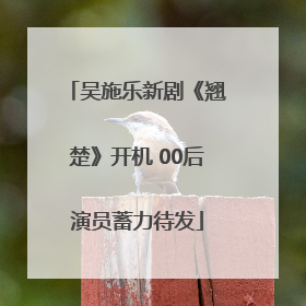 吴施乐新剧《翘楚》开机 00后演员蓄力待发
