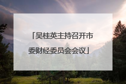吴桂英主持召开市委财经委员会会议