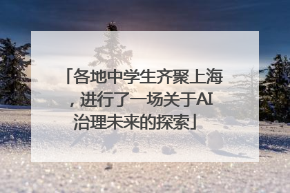 各地中学生齐聚上海，进行了一场关于AI治理未来的探索