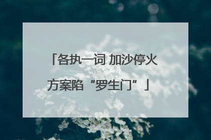 各执一词 加沙停火方案陷“罗生门”