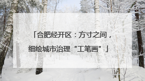 合肥经开区：方寸之间，细绘城市治理“工笔画”