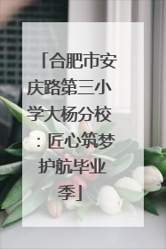 合肥市安庆路第三小学大杨分校：匠心筑梦 护航毕业季