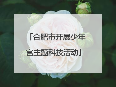 合肥市开展少年宫主题科技活动