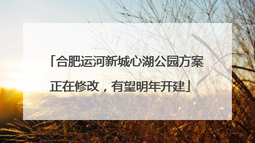 合肥运河新城心湖公园方案正在修改，有望明年开建