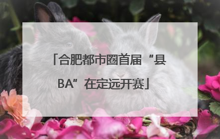 合肥都市圈首届“县BA”在定远开赛