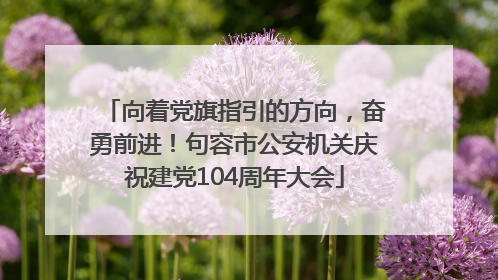 向着党旗指引的方向，奋勇前进！句容市公安机关庆祝建党104周年大会