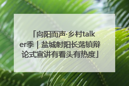 向阳而声·乡村talker季｜盐城射阳长荡镇辩论式宣讲有看头有热度