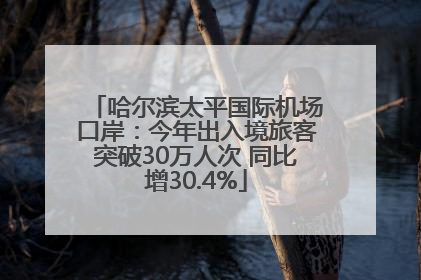 哈尔滨太平国际机场口岸：今年出入境旅客突破30万人次 同比增30.4%