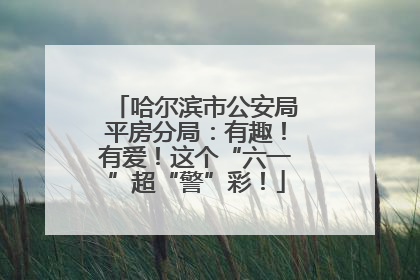 哈尔滨市公安局平房分局：有趣！有爱！这个“六一”超“警”彩！