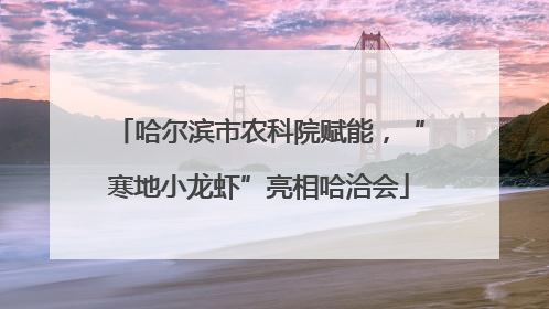 哈尔滨市农科院赋能，“寒地小龙虾”亮相哈洽会