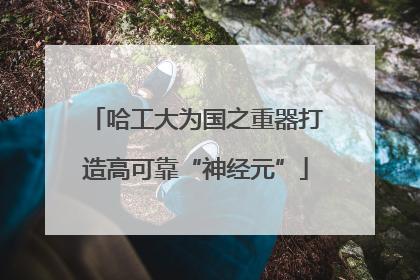 哈工大为国之重器打造高可靠“神经元”