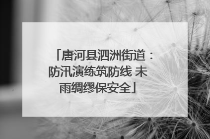 唐河县泗洲街道：防汛演练筑防线 未雨绸缪保安全