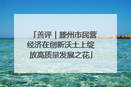 善评｜滕州市民营经济在创新沃土上绽放高质量发展之花