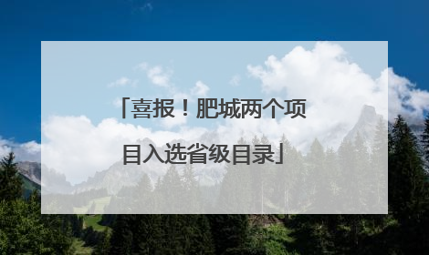 喜报！肥城两个项目入选省级目录
