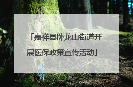 嘉祥县卧龙山街道开展医保政策宣传活动