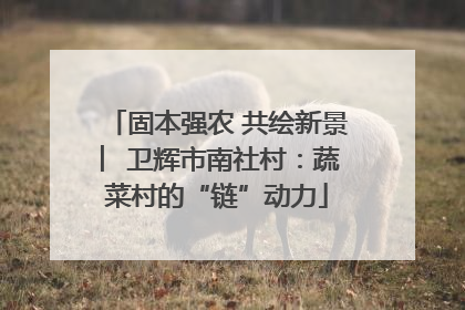 固本强农 共绘新景 ︳卫辉市南社村：蔬菜村的“链”动力