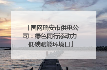 国网瑞安市供电公司：绿色同行添动力 低碳赋能环境日