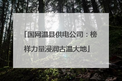 国网温县供电公司：榜样力量浸润古温大地