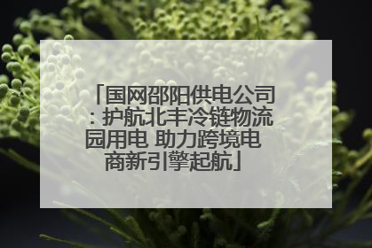 国网邵阳供电公司：护航北丰冷链物流园用电 助力跨境电商新引擎起航