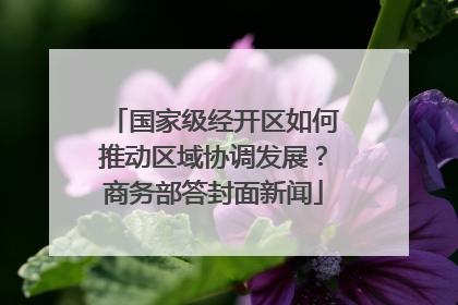 国家级经开区如何推动区域协调发展？商务部答封面新闻