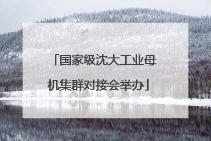 国家级沈大工业母机集群对接会举办