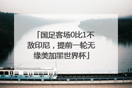 国足客场0比1不敌印尼，提前一轮无缘美加墨世界杯