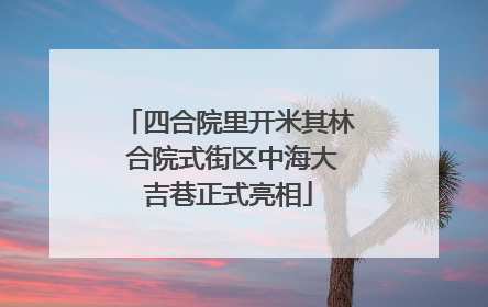 四合院里开米其林 合院式街区中海大吉巷正式亮相