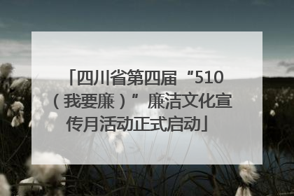 四川省第四届“510（我要廉）”廉洁文化宣传月活动正式启动