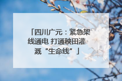 四川广元：紧急架线通电 打通秧田灌溉“生命线”
