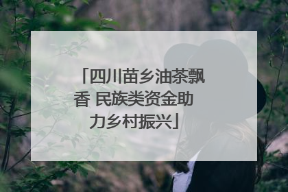 四川苗乡油茶飘香 民族类资金助力乡村振兴