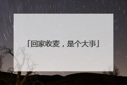 回家收麦，是个大事