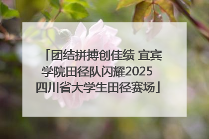 团结拼搏创佳绩 宜宾学院田径队闪耀2025四川省大学生田径赛场