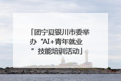 团宁夏银川市委举办“AI+青年就业”技能培训活动