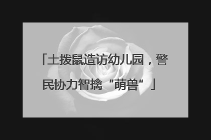 土拨鼠造访幼儿园，警民协力智擒“萌兽”