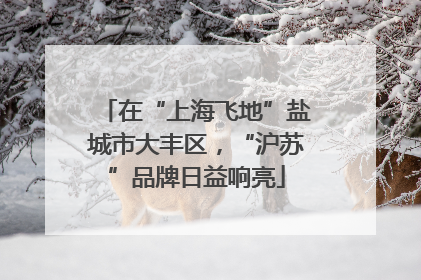 在“上海飞地”盐城市大丰区，“沪苏”品牌日益响亮