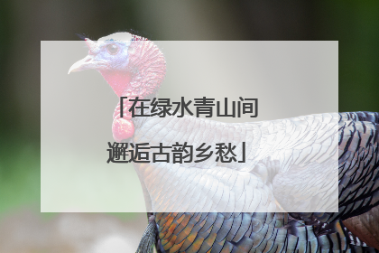 在绿水青山间邂逅古韵乡愁