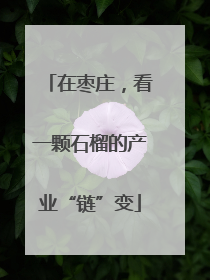 在枣庄，看一颗石榴的产业“链”变