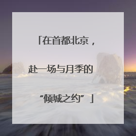 在首都北京，赴一场与月季的“倾城之约”