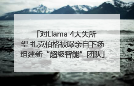 对Llama 4大失所望 扎克伯格被曝亲自下场组建新“超级智能”团队