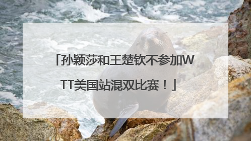 孙颖莎和王楚钦不参加WTT美国站混双比赛！