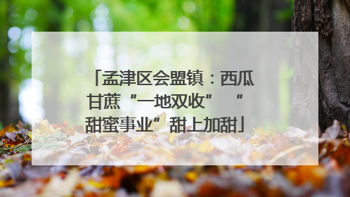 孟津区会盟镇：西瓜甘蔗“一地双收” “甜蜜事业”甜上加甜