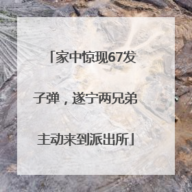家中惊现67发子弹，遂宁两兄弟主动来到派出所