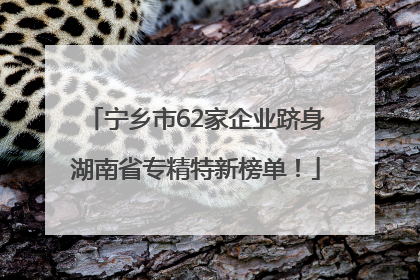 宁乡市62家企业跻身湖南省专精特新榜单！